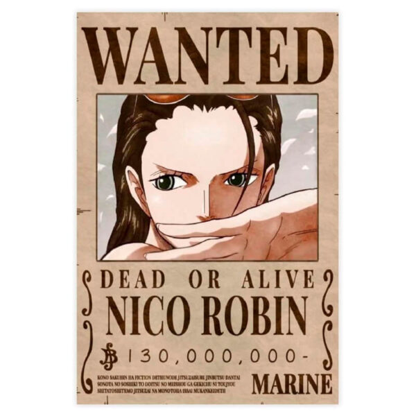poster se busca nico robin