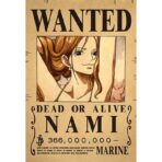 poster wanted nami