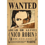 poster wanted nico robin