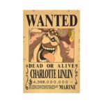 se busca one piece