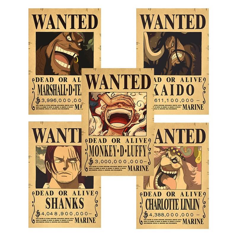 se busca one piece se busca one piece