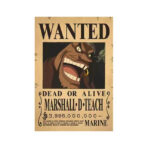 se busca one piece