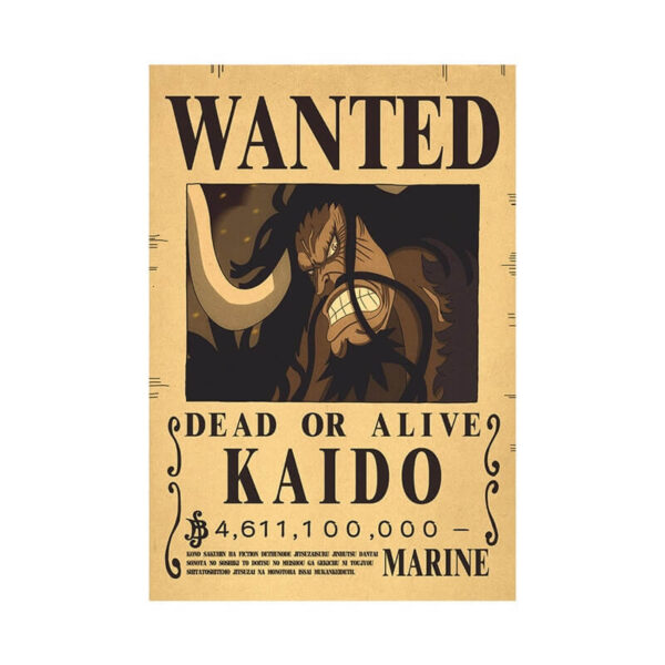 wanted kaido