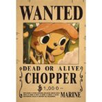 wanted one piece
