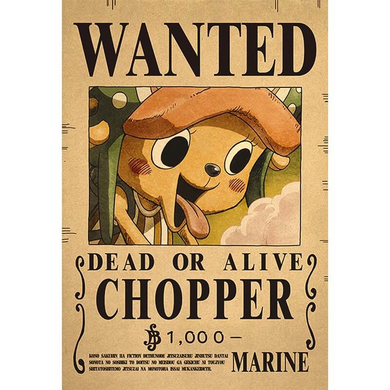 wanted one piece